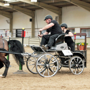 Winner - 2010 - Indoor Champion - Single Horse Class driving a Bennington Blaze